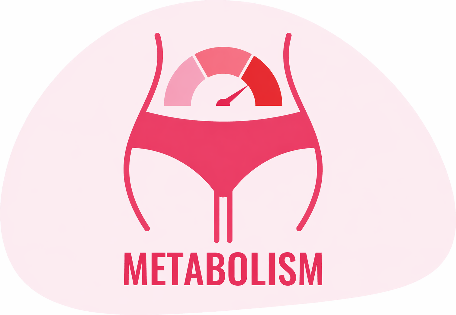 JellyThin official website multi-system metabolic adaptation cycle